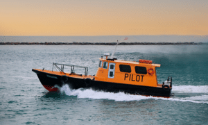 Atualização da bibliografia do PSCPP